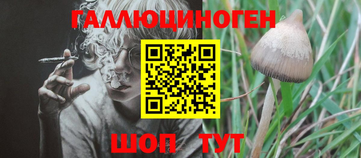 Псилоцибиновые грибы Cubensis  купить наркоту  Иваново  Вход с VPN 